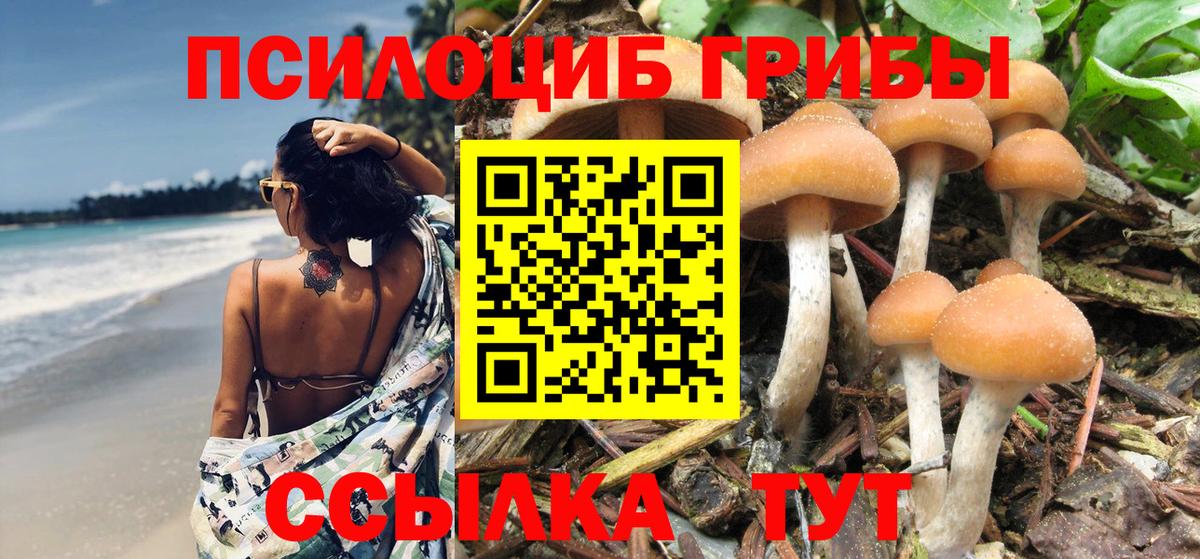 Псилоцибиновые грибы Psilocybine cubensis  Псилоцибиновые грибы Cubensis  Бузулук  где можно купить наркотик  Вход с VPN 